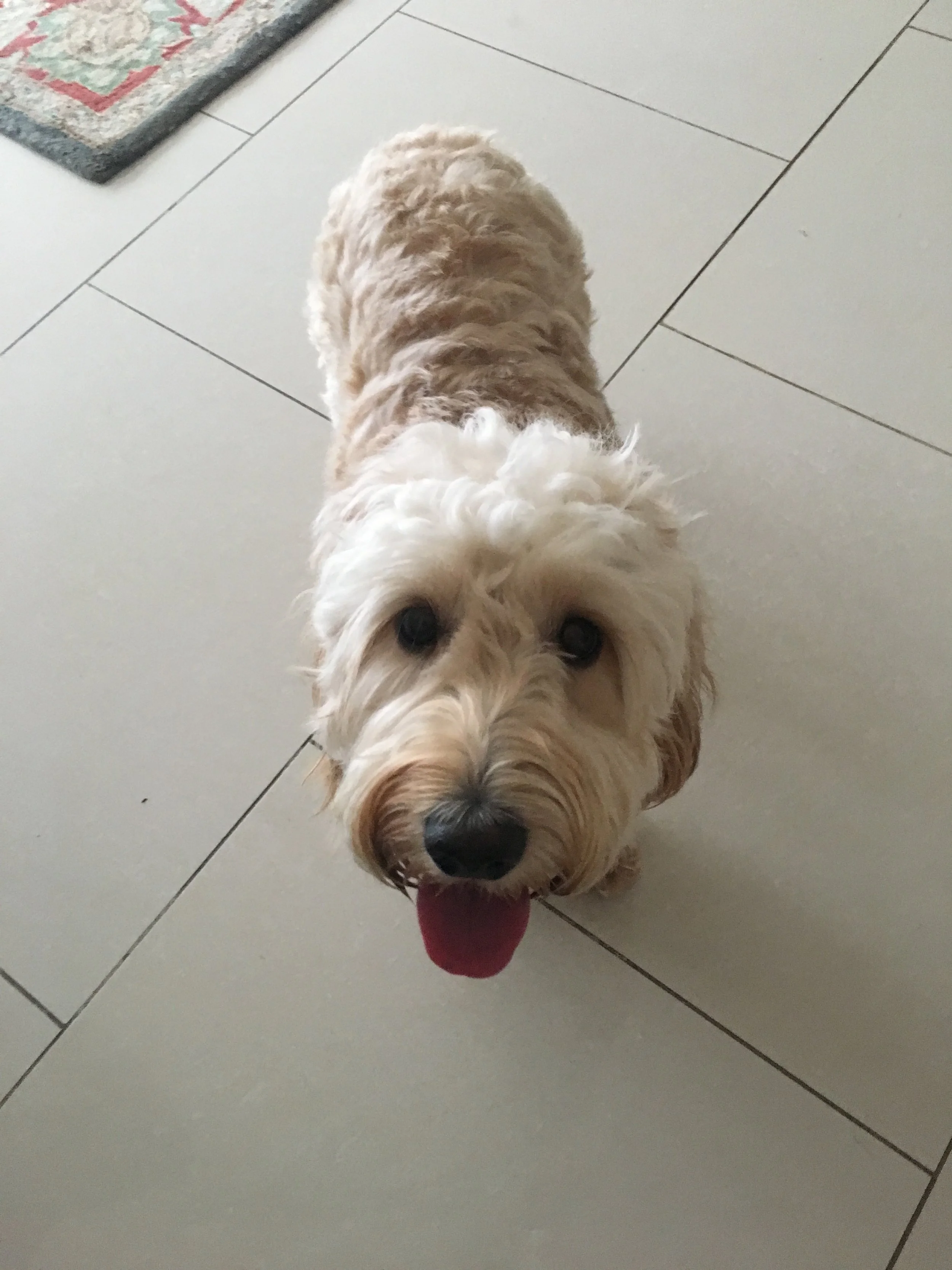 Coco