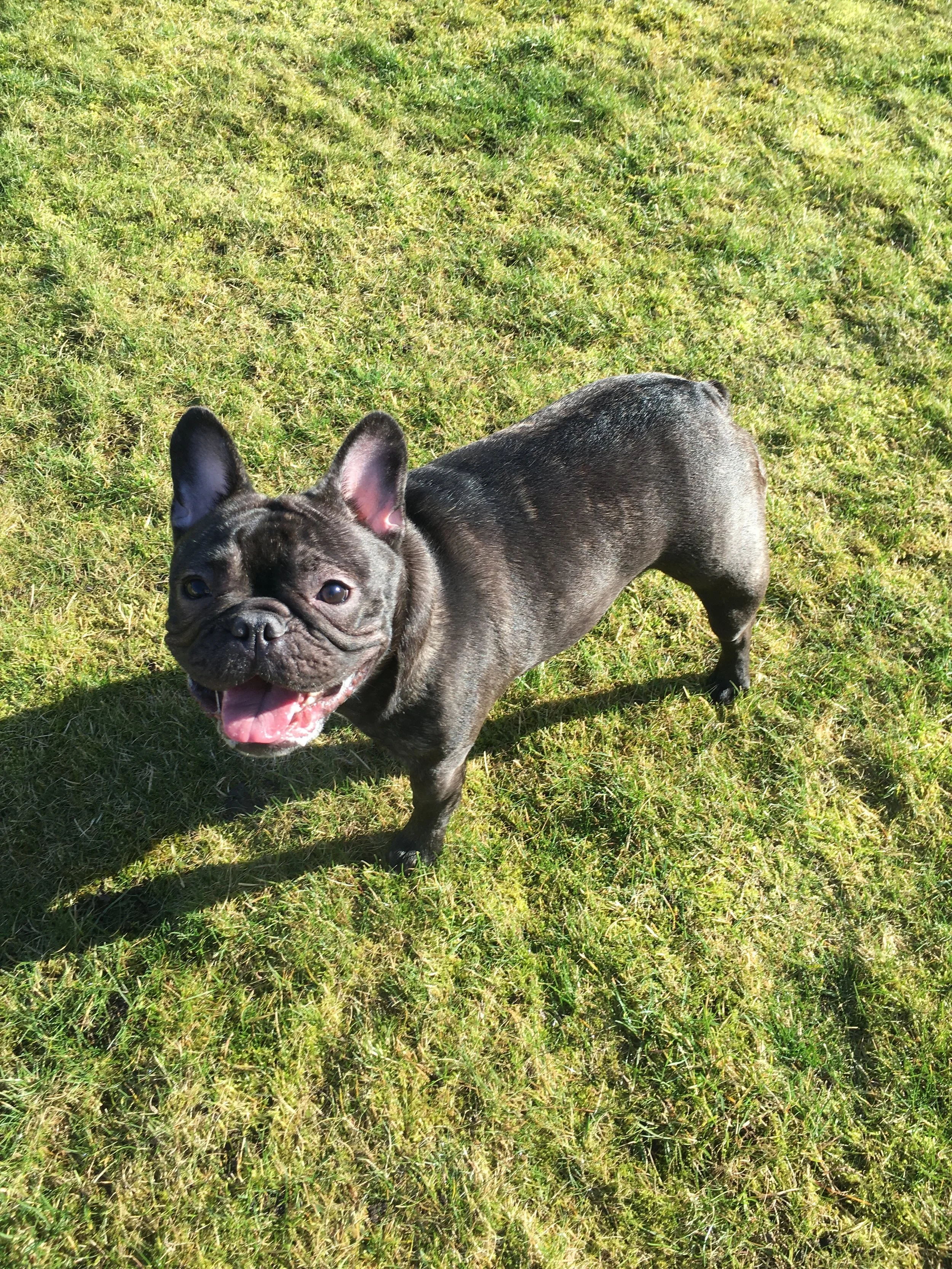Coco
