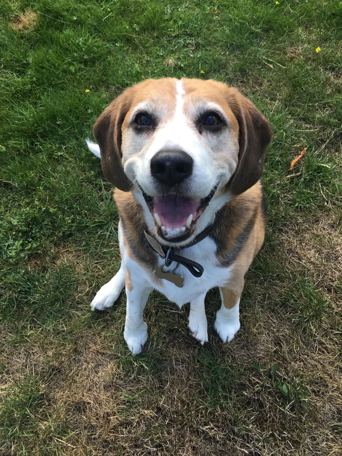 Bailey