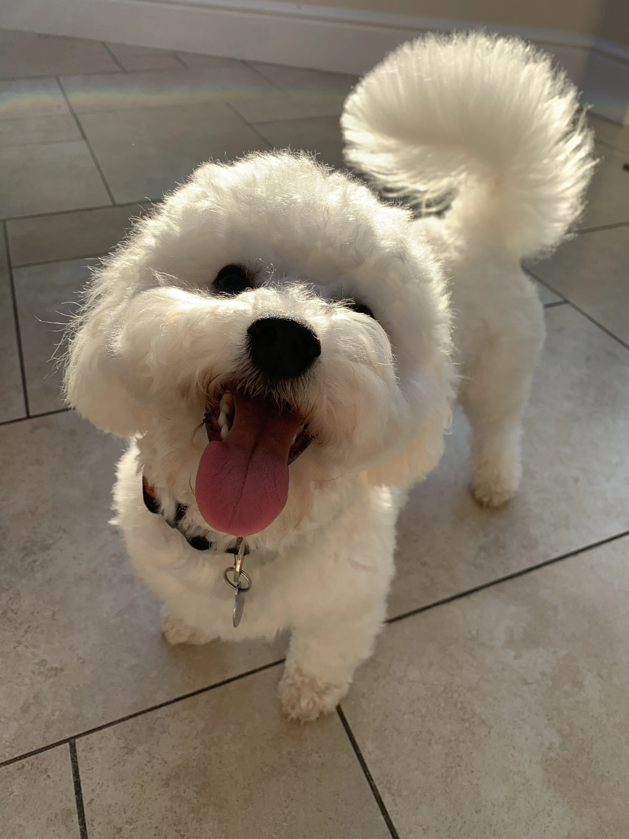 Alfie