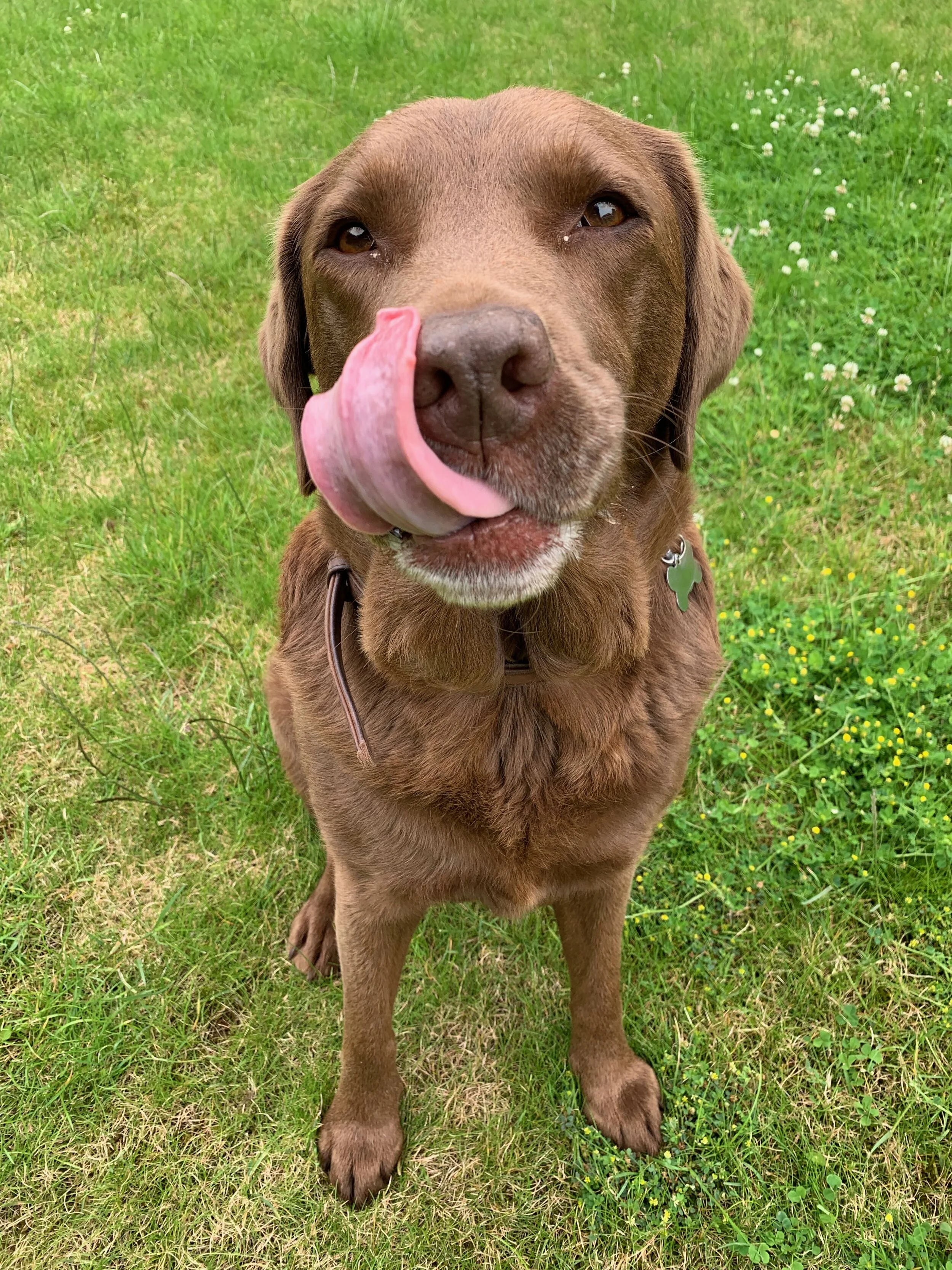 Ruby