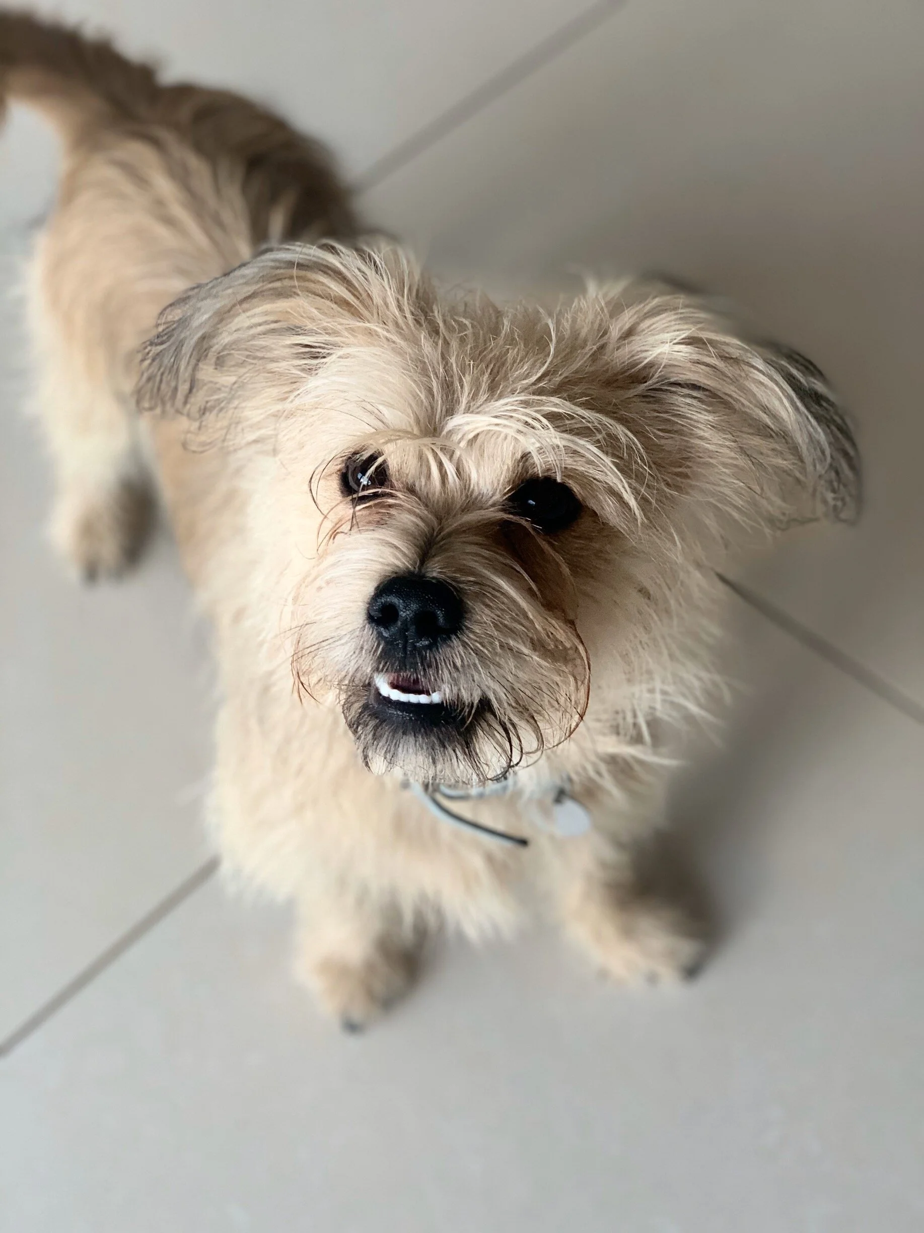 Charlie
