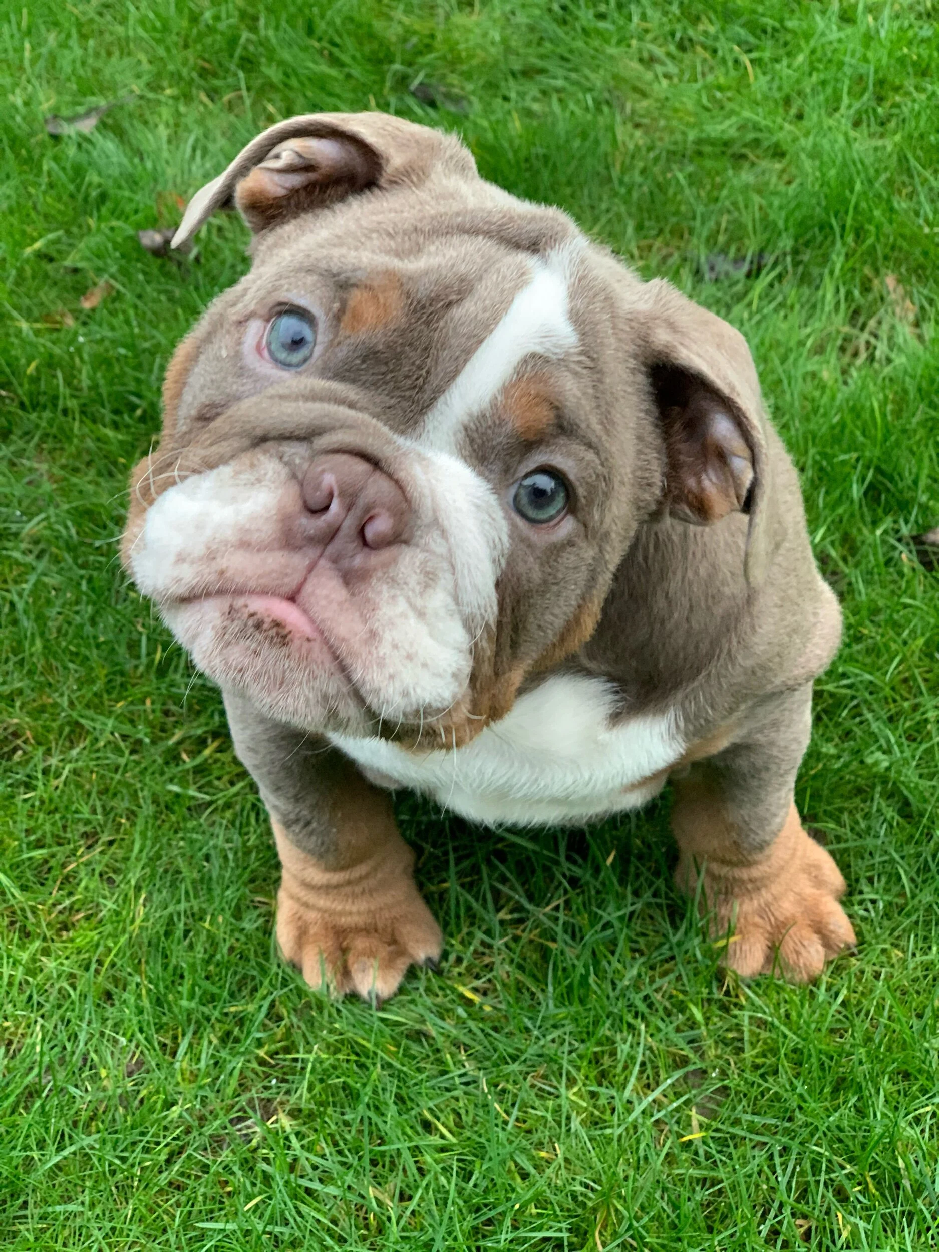 Kash 