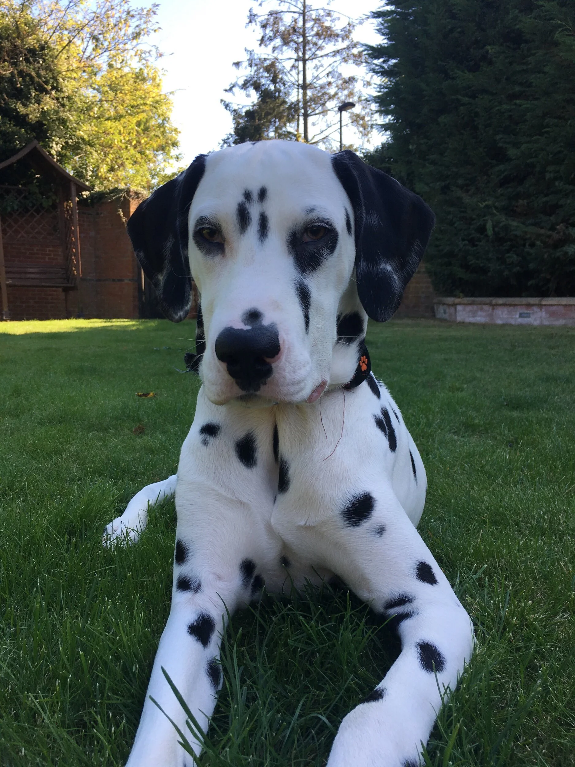 Mason 