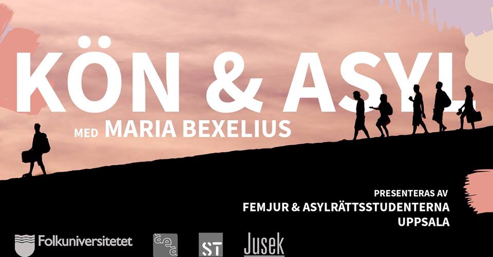 Kön &amp; asyl - föreläsning