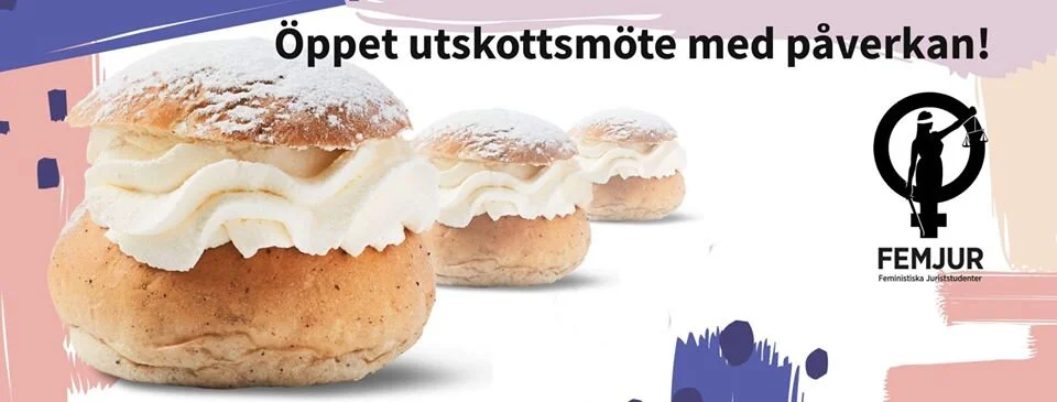 Öppet utskottsmöte med FEMJUR:s påverkansutskott