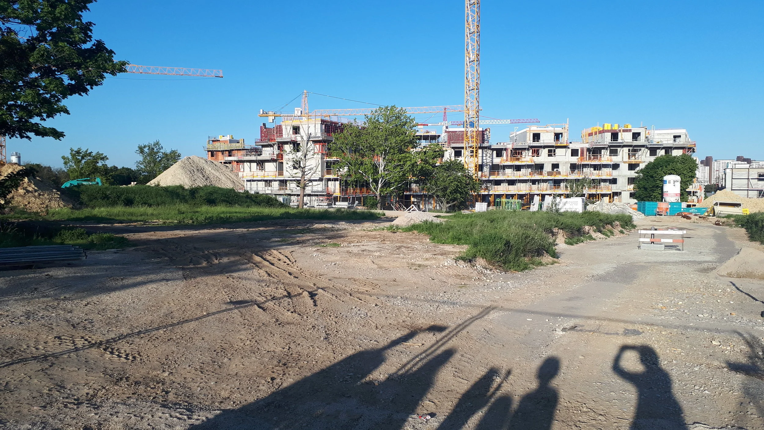 20190515_185935.jpg