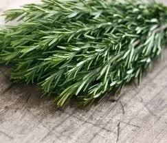 Rosemary: Therapy in Winter