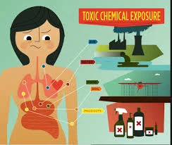 Toxins Affect Endocrine Function