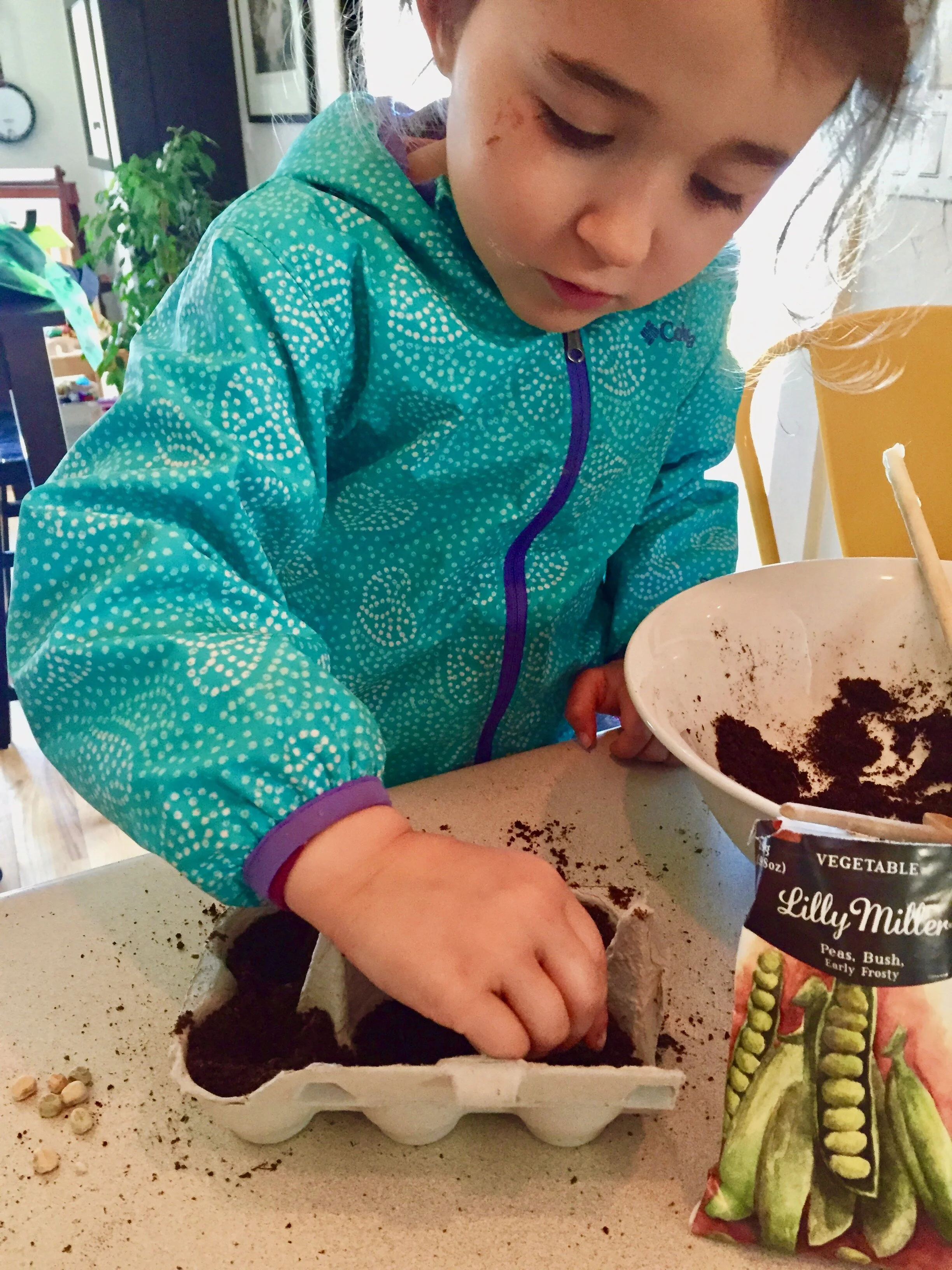 Planting Seeds