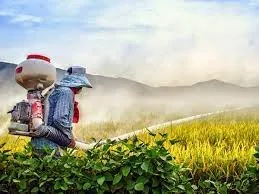 Glyphosate on Our Food and How to Avoid It.