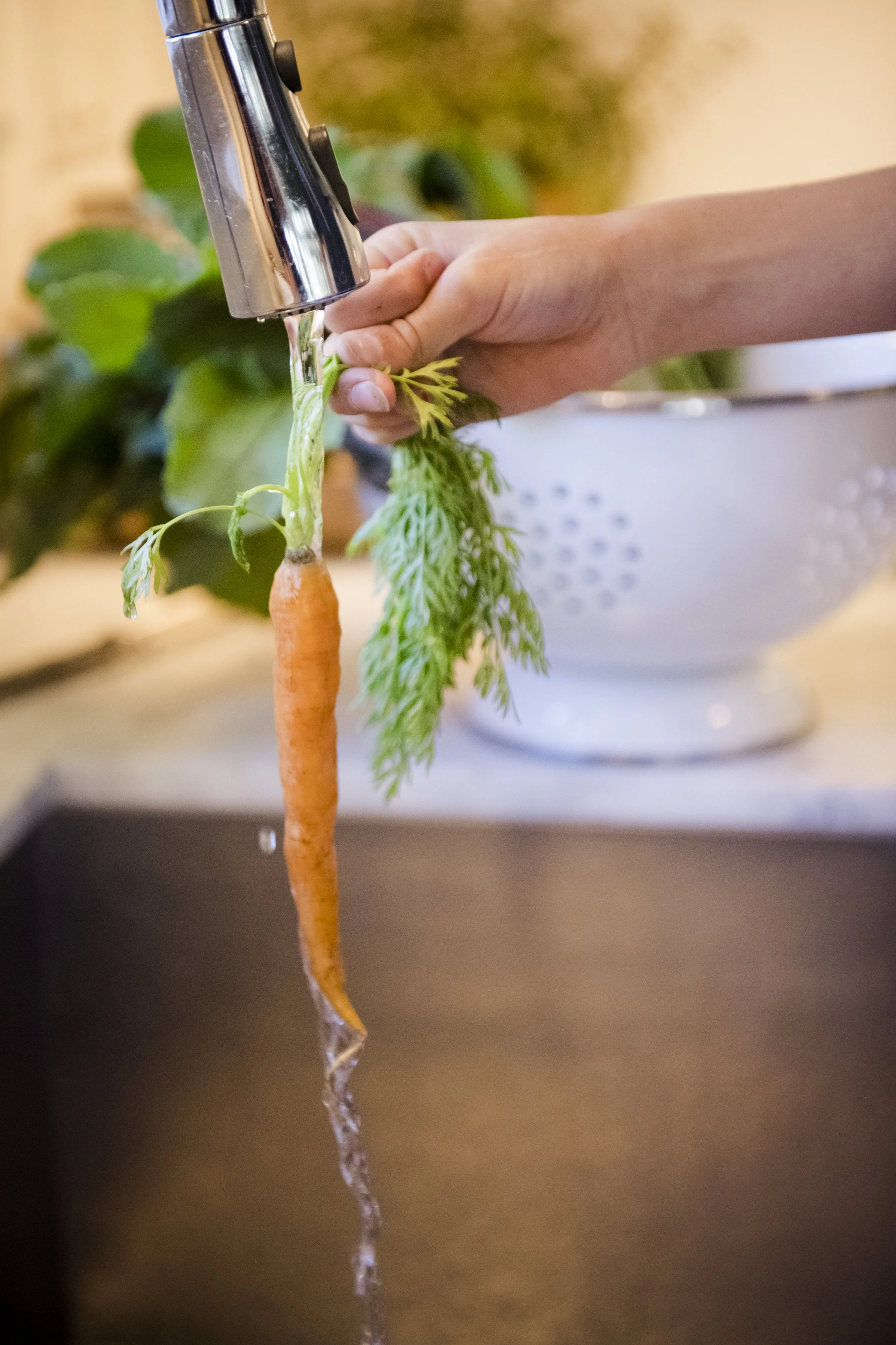 Roots, Fruits, and Water to Balance During Eclipse Season