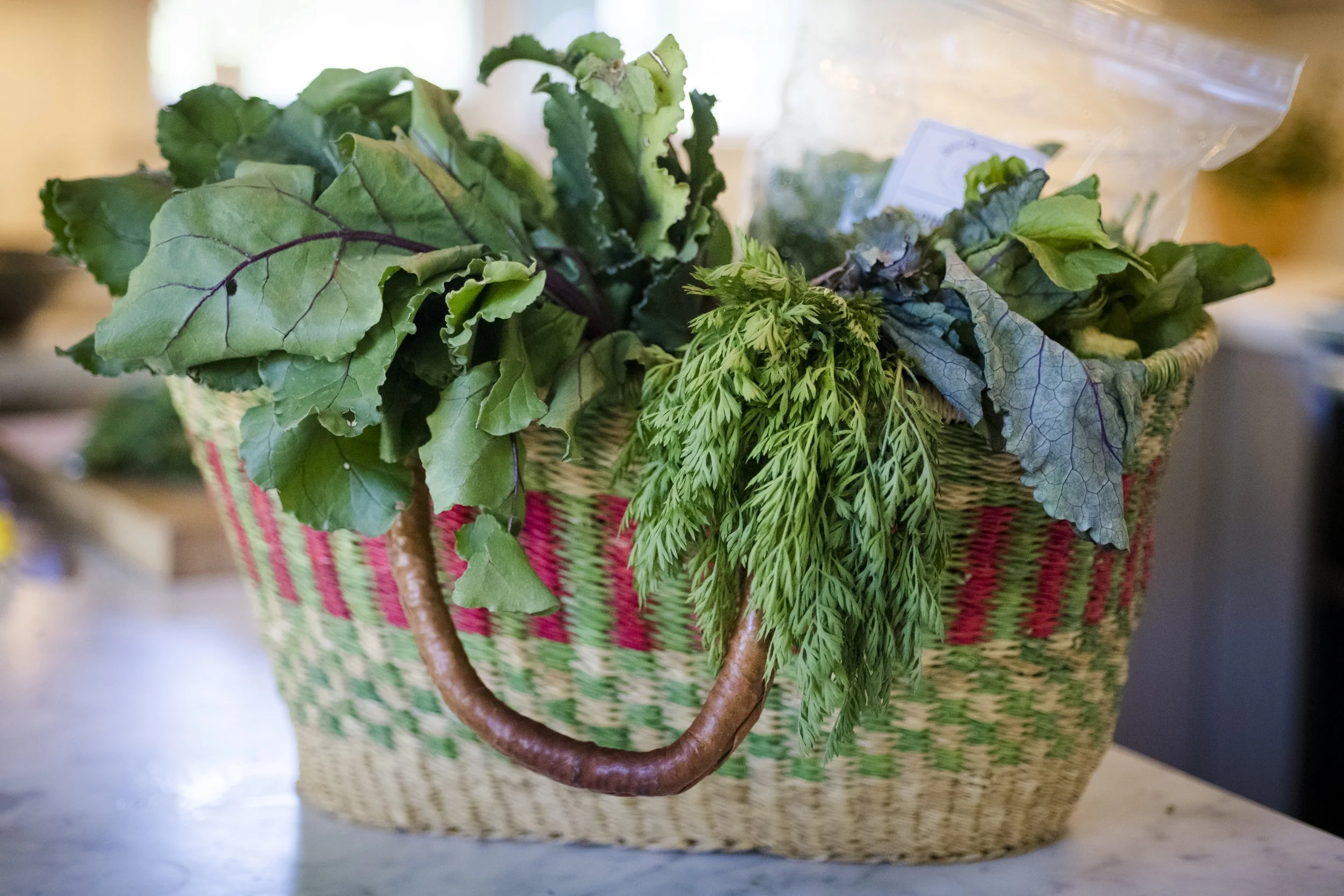 A Cornucopia of Plant Gratitude