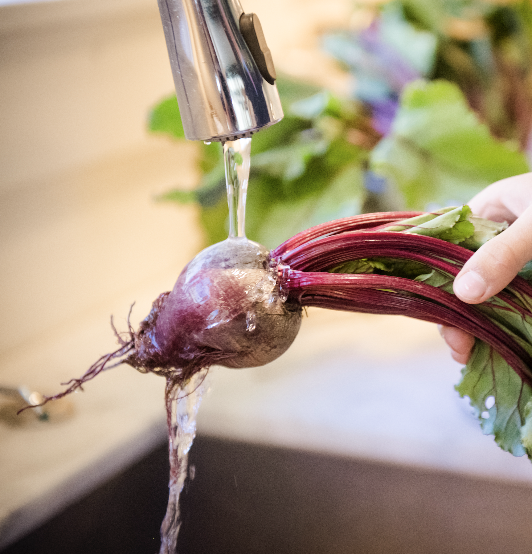 Eat More Plants to Save Money &amp; Feel Better
