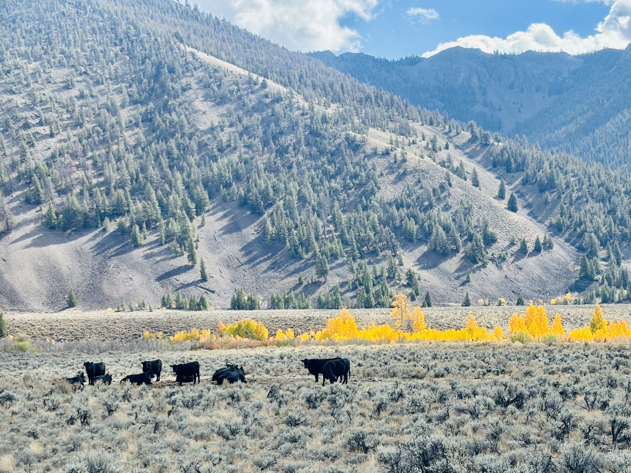 An Earth-focused perspective on the new Dietary Guidelines for America