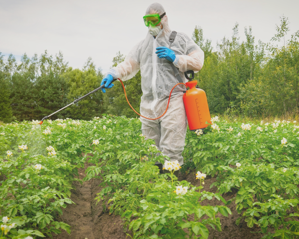 Toxins bind to fats, how that affects our health + 12 ways to reduce contaminant impact. 