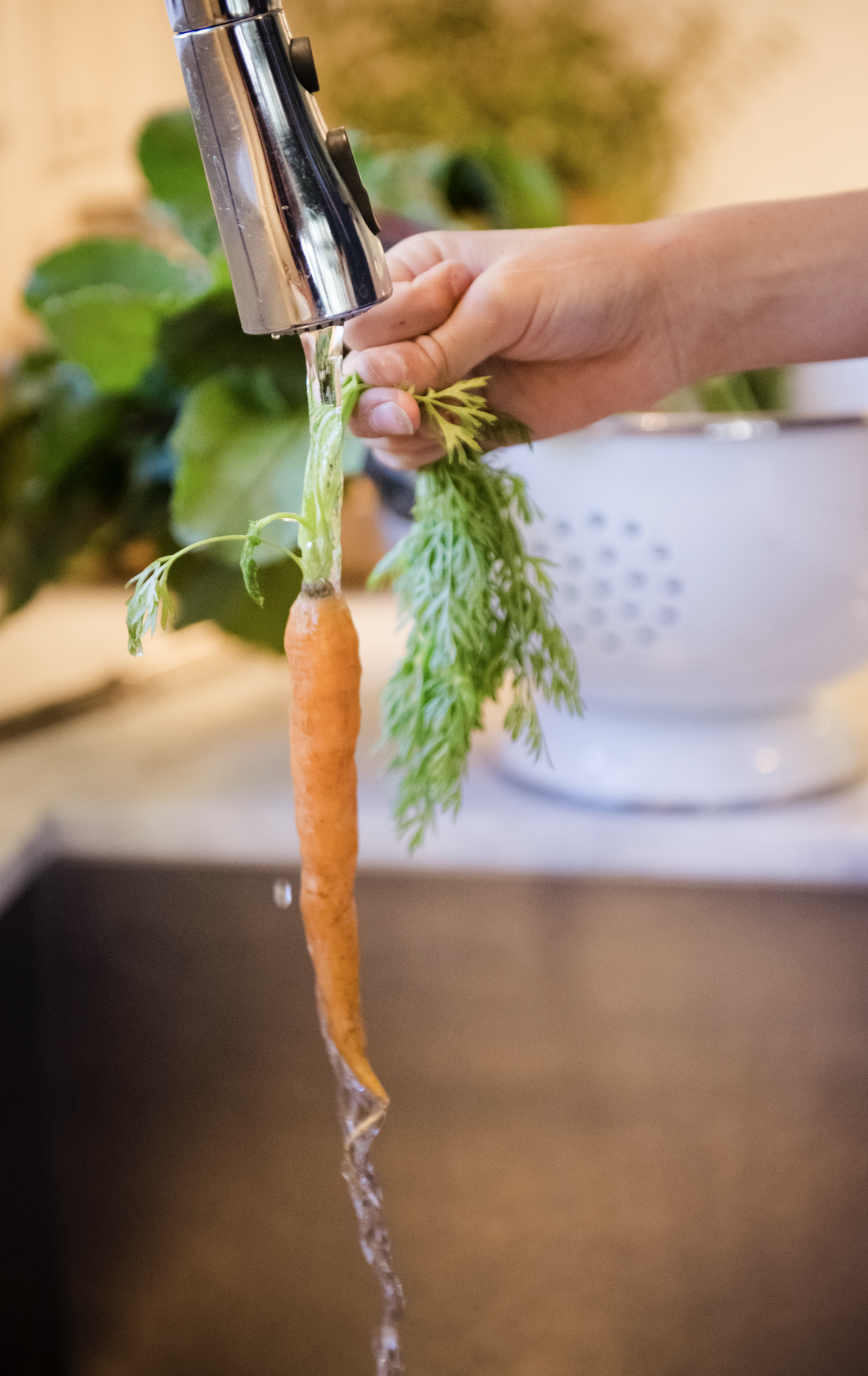 Food at our fingertips—and what comes next?