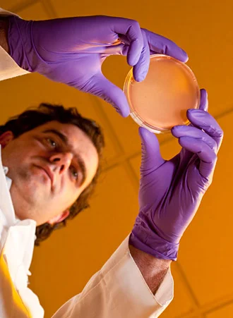 lab-petri-28.jpg
