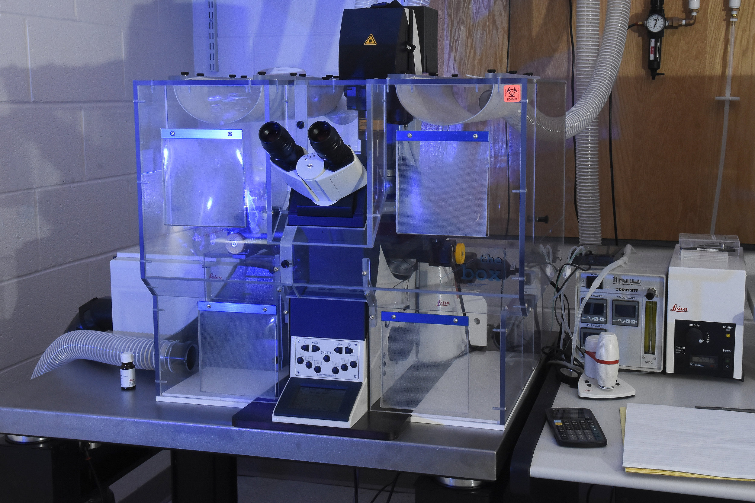 Confocal2.jpg