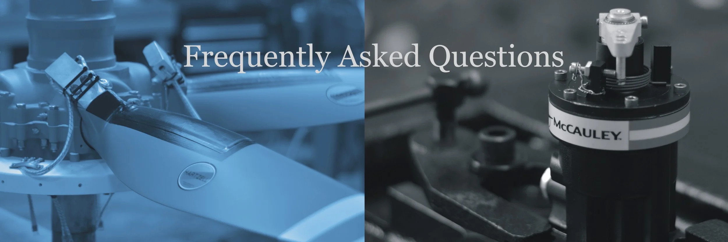 FB Banner FAQ2.jpeg