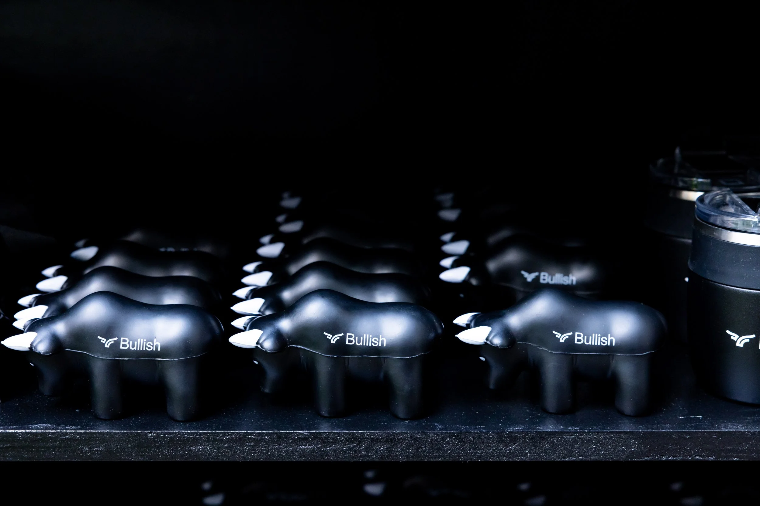 Bullish-OB-Photo-20250813-KK-016.jpg