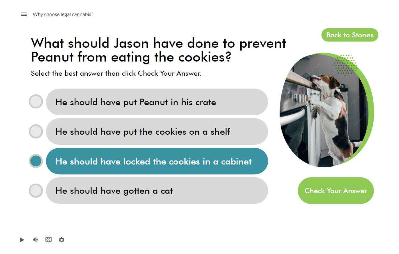 Why Choose Legal Cannabis - 06.png