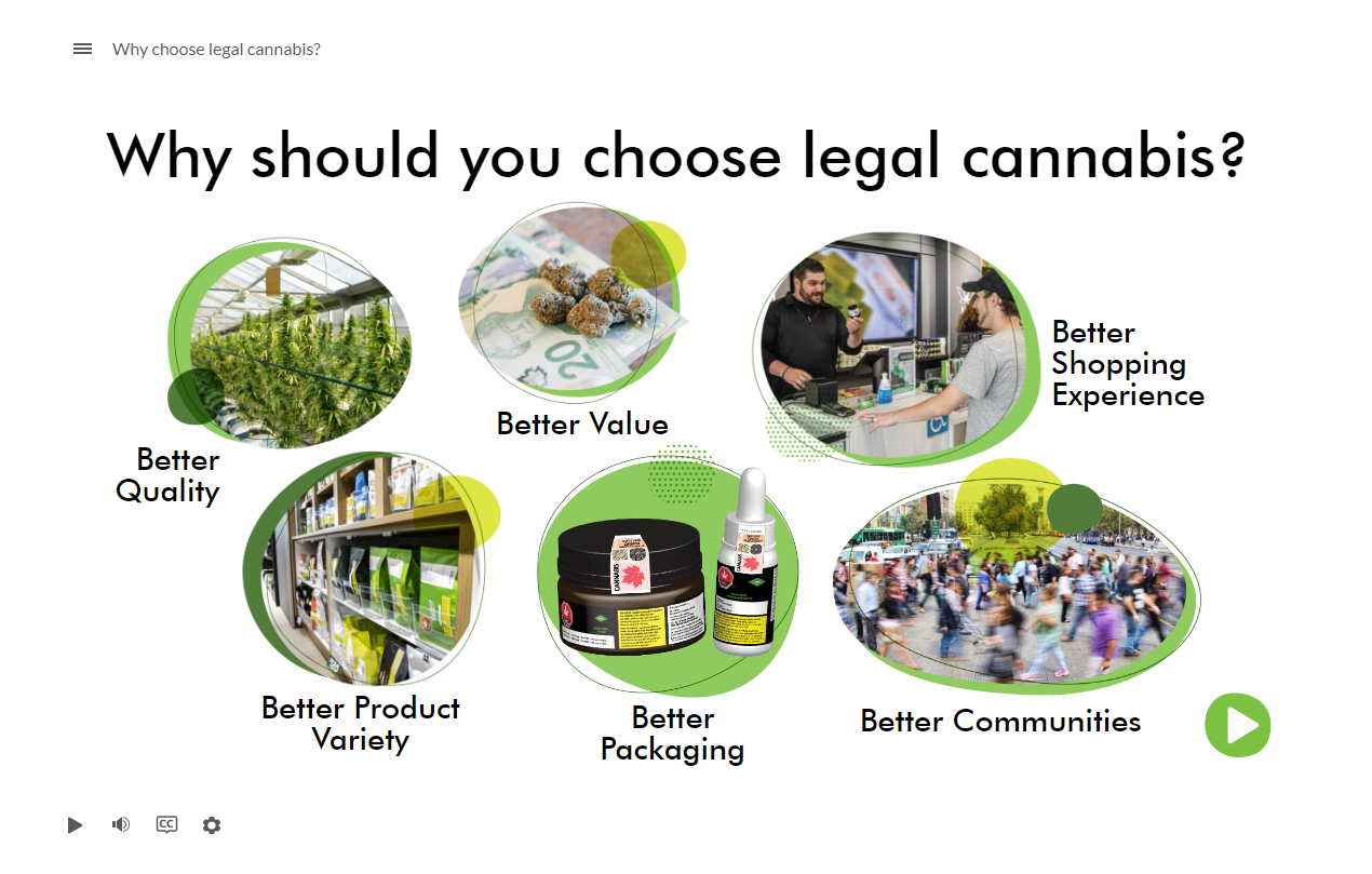 Why Choose Legal Cannabis - 15.png