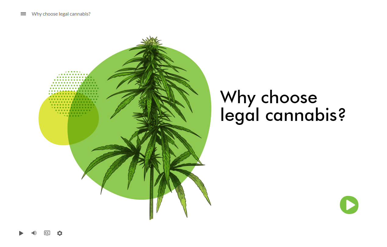 Why Choose Legal Cannabis - 01.png