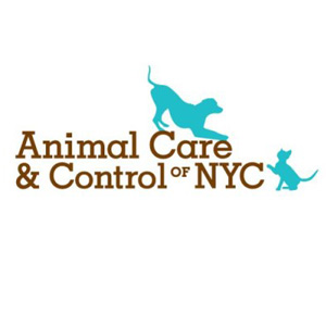 AnimalCare.jpg