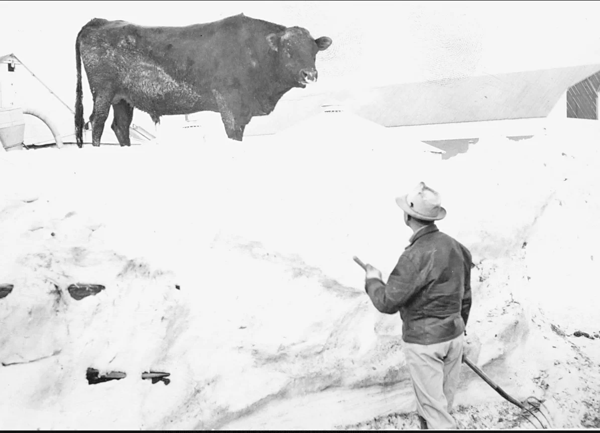 Brrrrrr! 1948-49