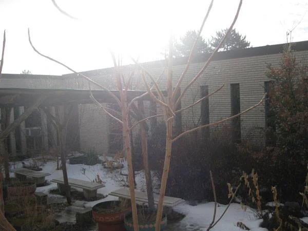 Pioneer Elementary