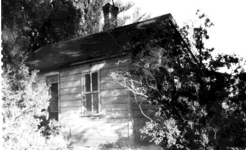 1199 west 3300 south The Taylor Family