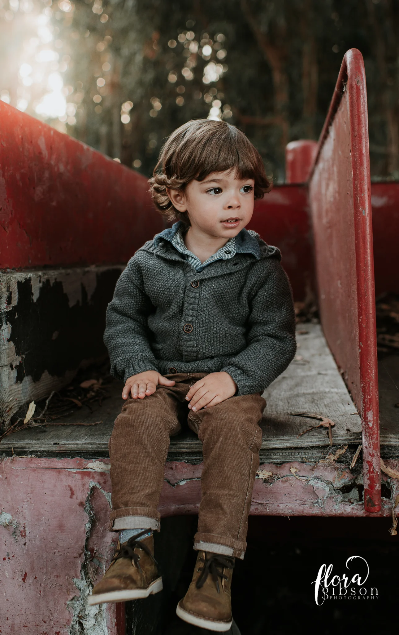 monterey california family photographer
