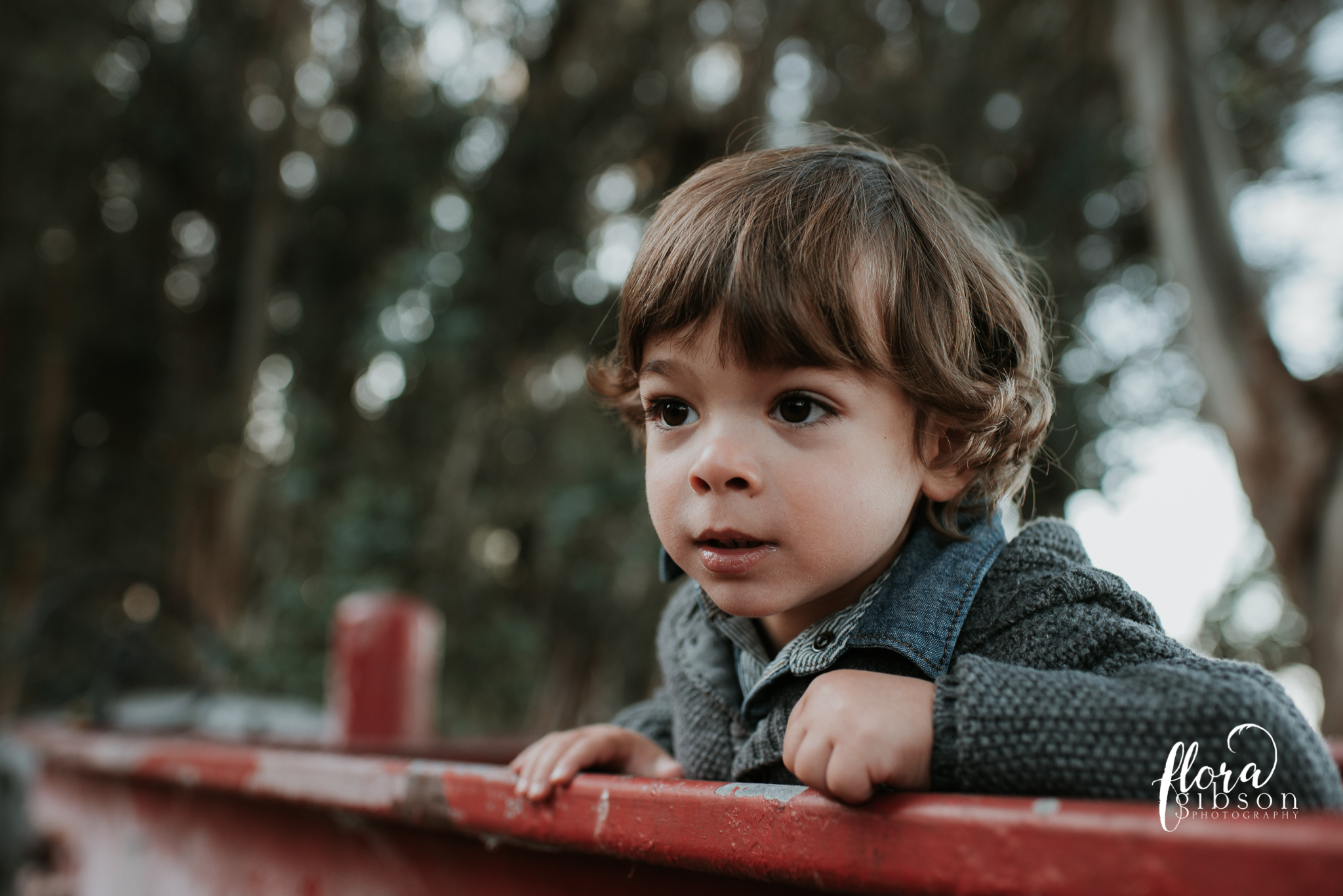 monterey california family photographer