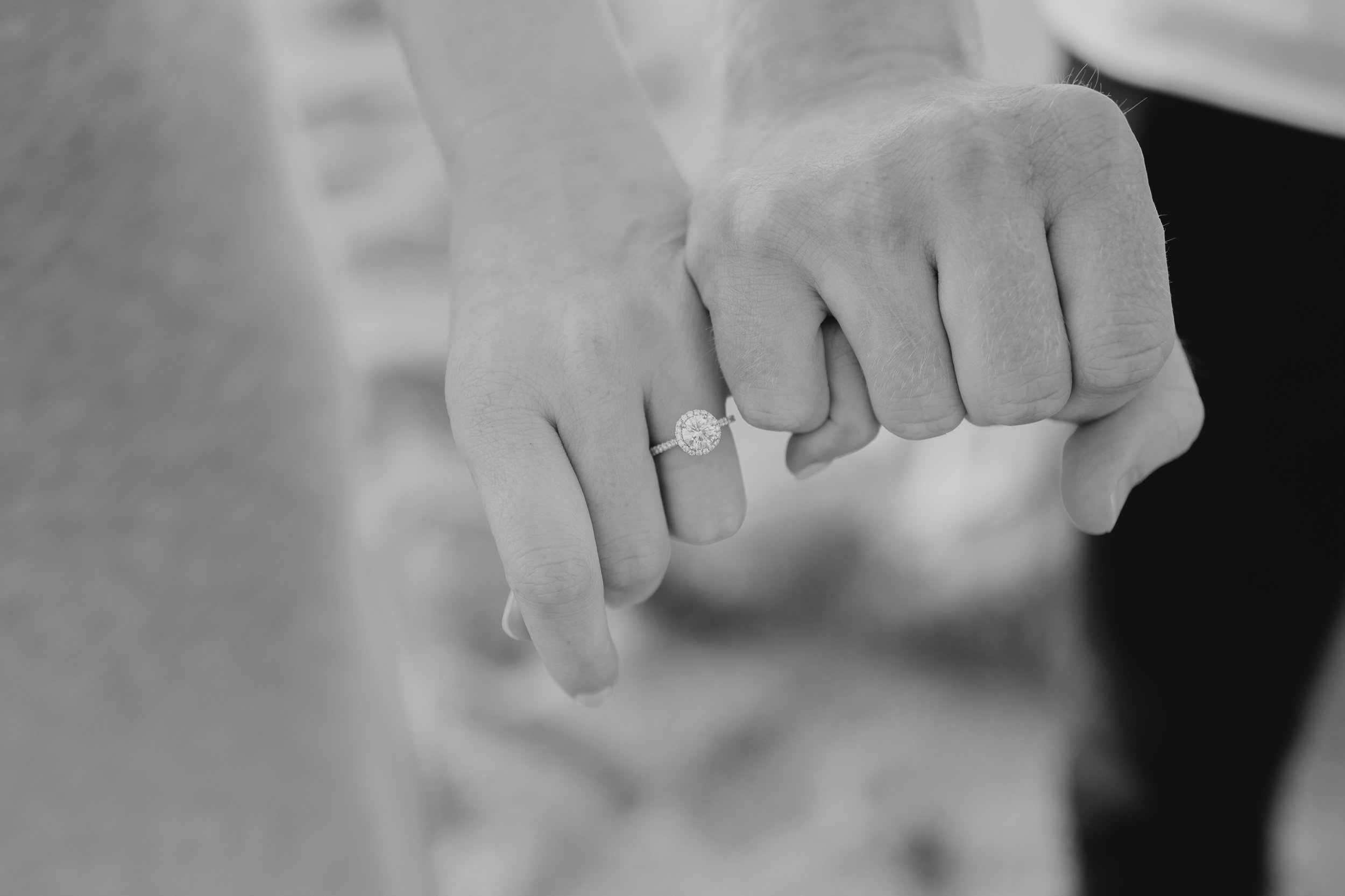 850_8759-2.jpg