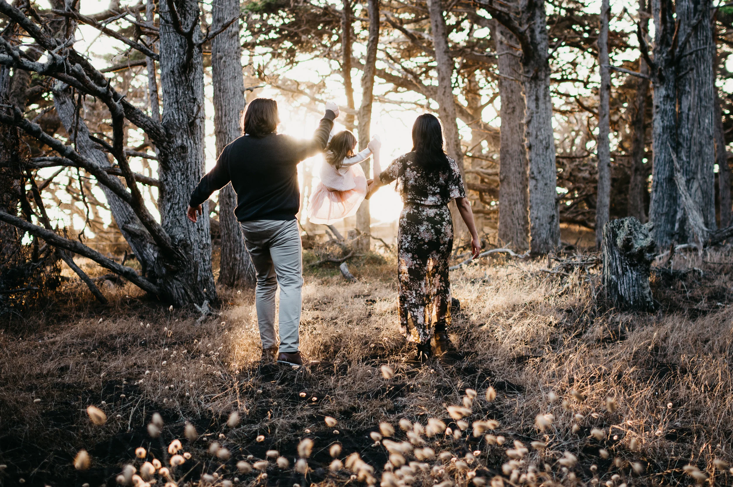 big sur monterey carmel maternity and family photographer