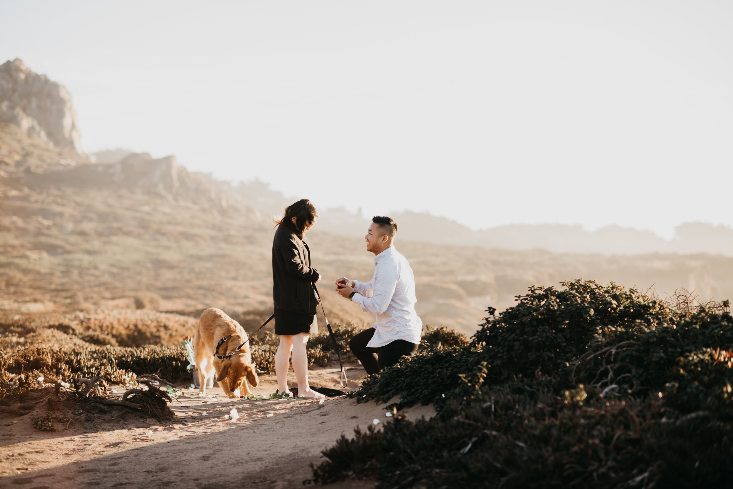 Big Sur proposal california coast photographer