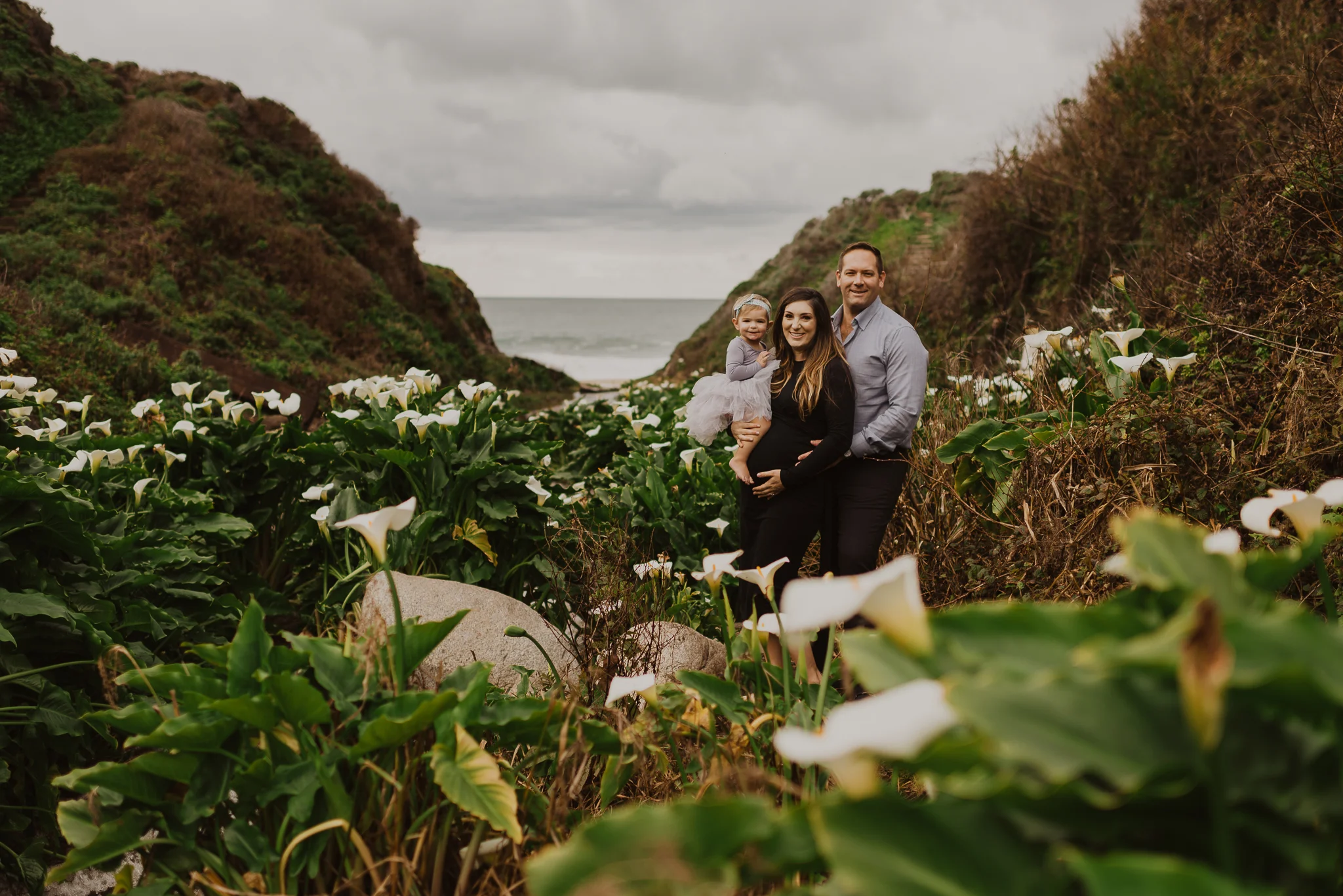 Big sur photographer