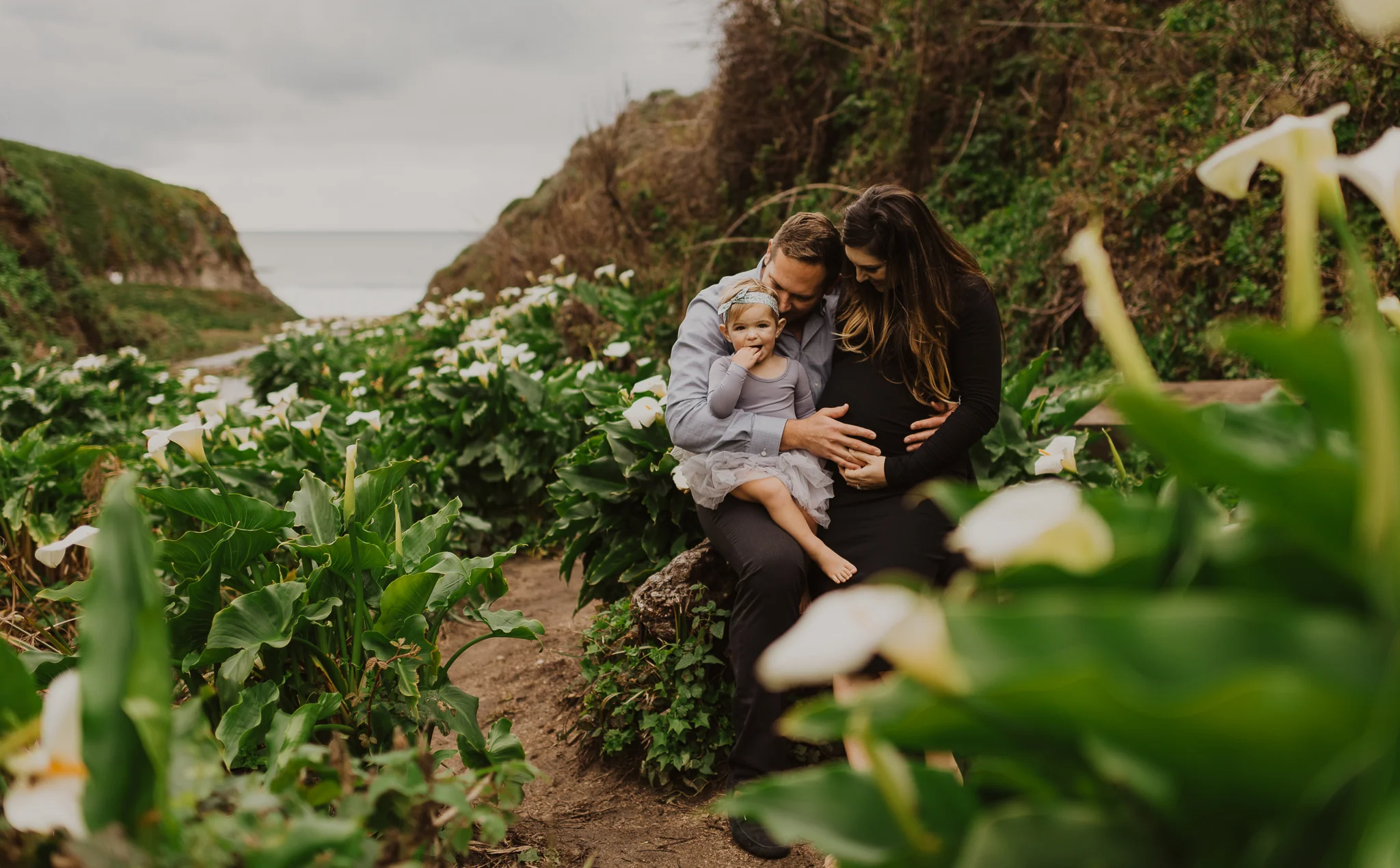 big sur photographer