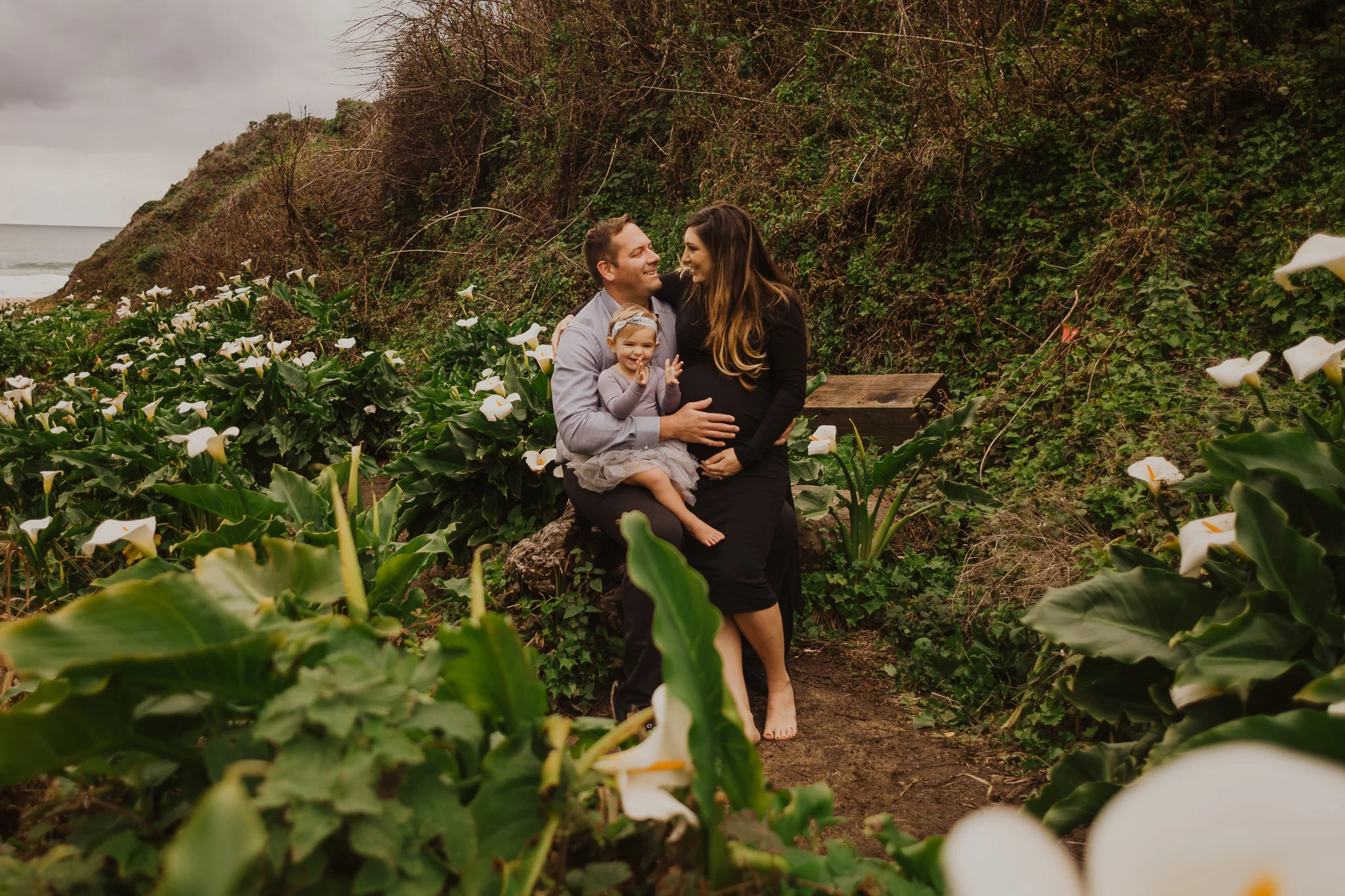 big sur photographer