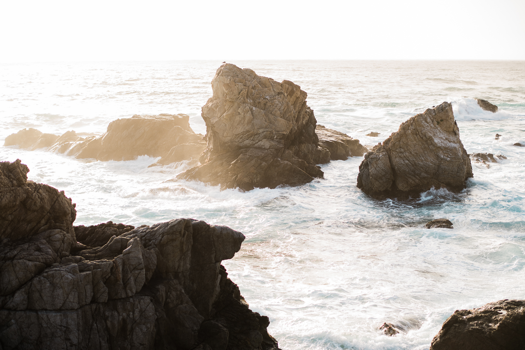 bay area photographer-14.jpg
