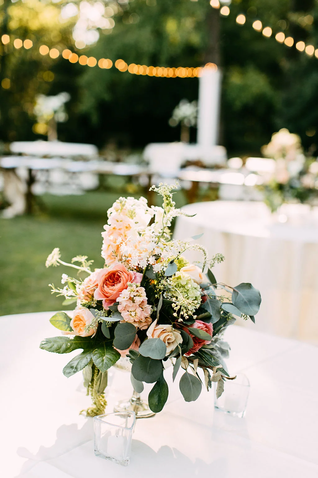 Kelly Ginn Photography