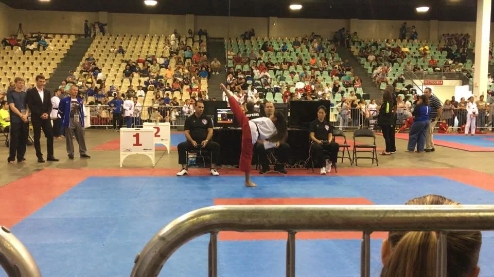 14657475_1300243313353072_7934167417337212891_n.jpg