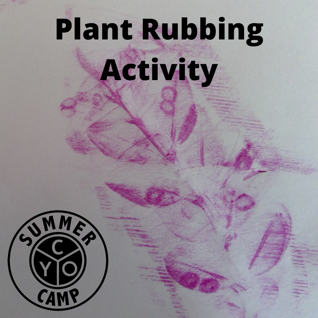 Plant Rubbing Activity.png