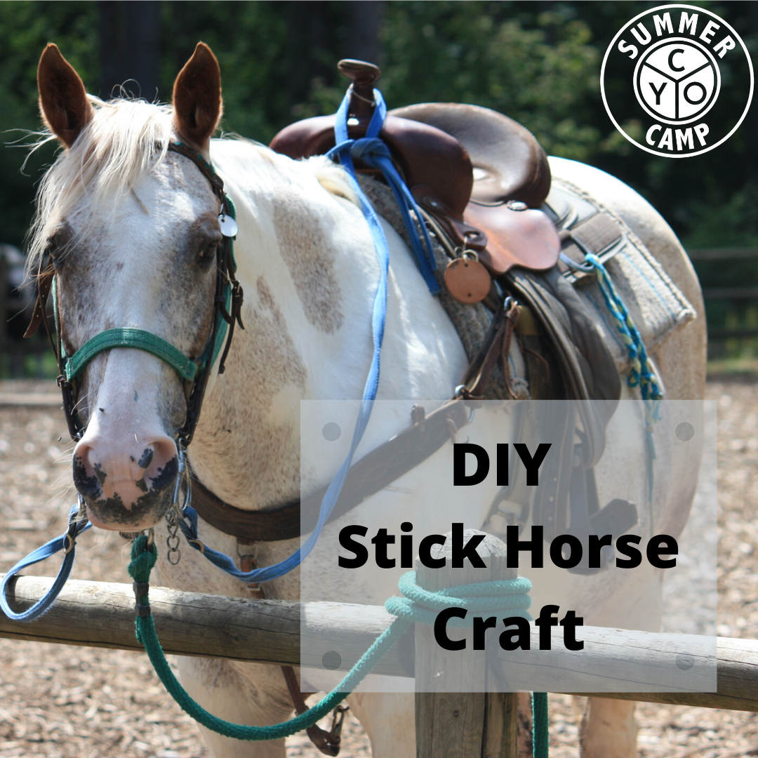 DIY Stick Horse Craft.png