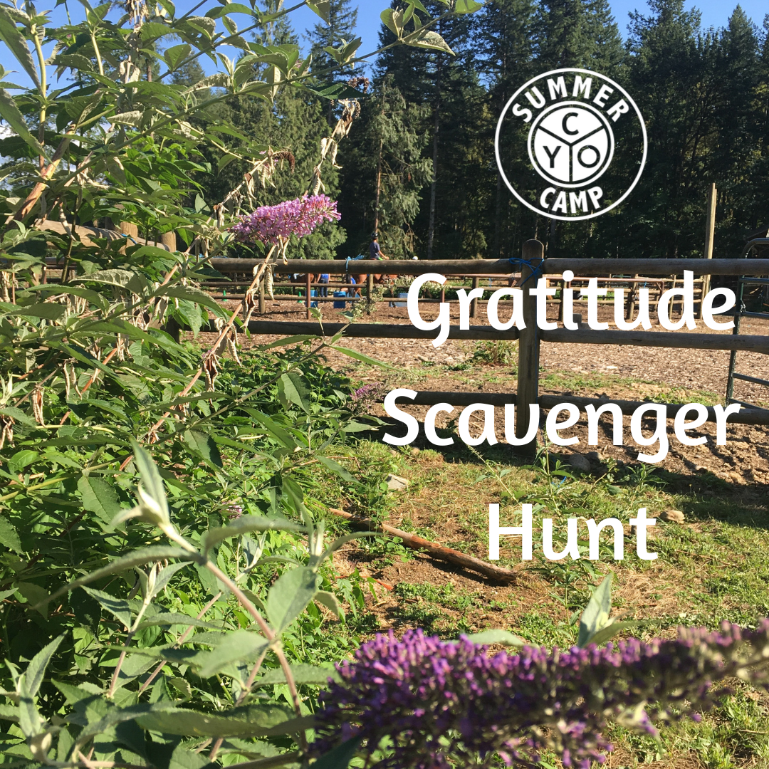 Gratitude Scavenger Hunt.png