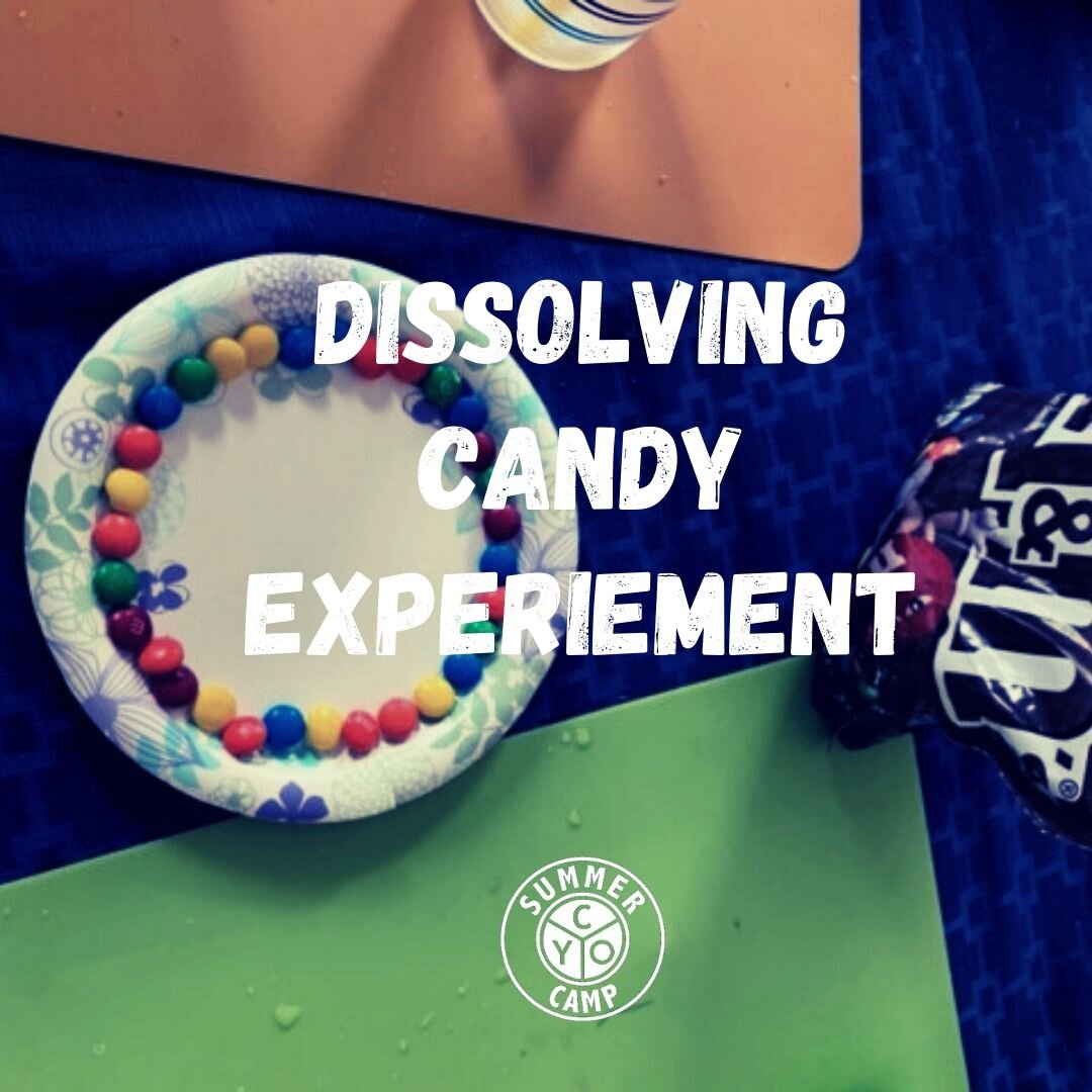 Dissolving Candy Experiment x2.jpg