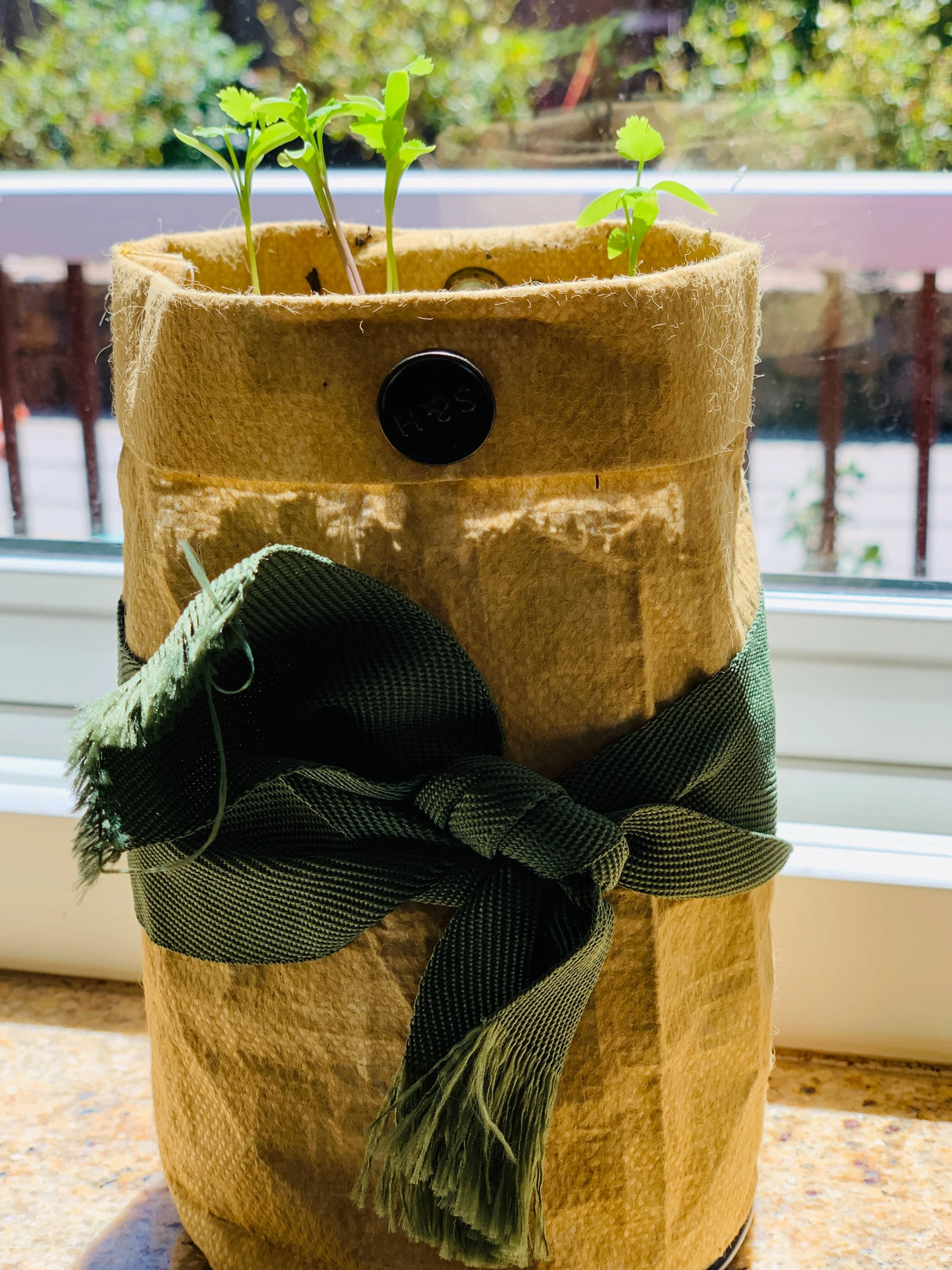 Beyond Earth Day: 5 Kid Friendly and Sustainable Habits for a Healthier Future