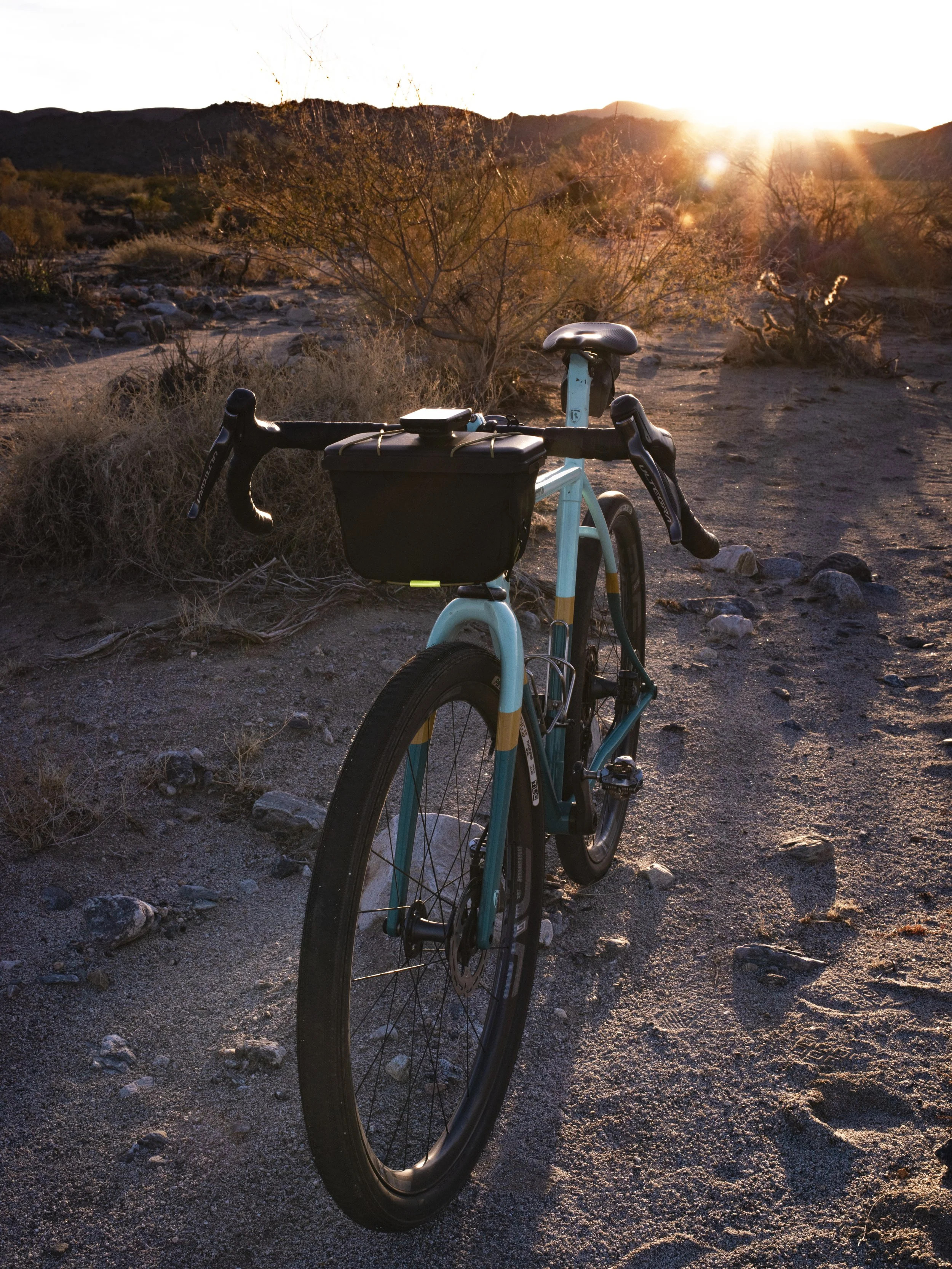 2023-1-30_Routeworks-JoshuaTree-Selects-12.jpg