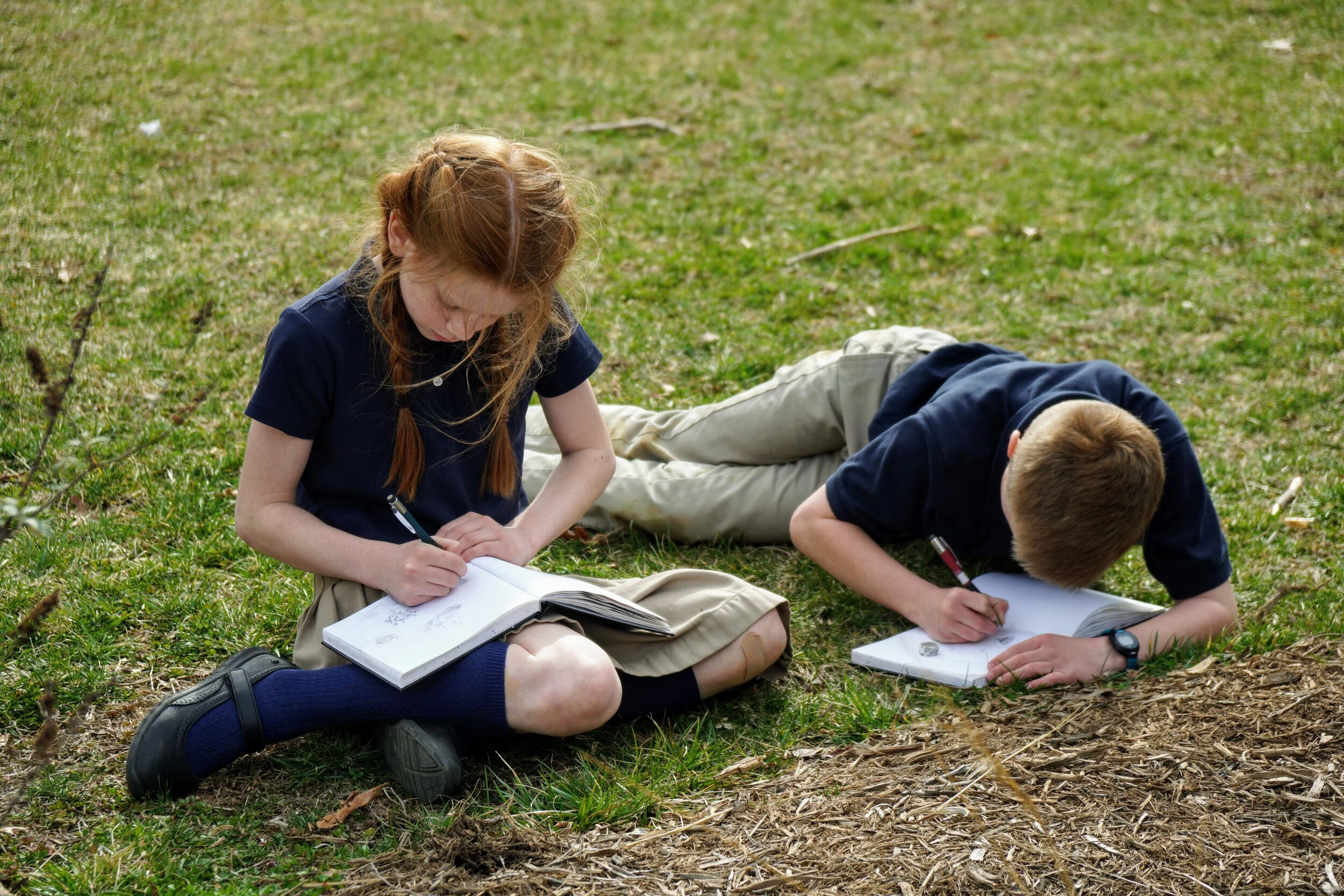 How to Begin A Nature Walk